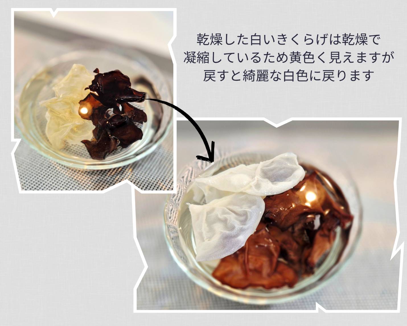 きくらげについて